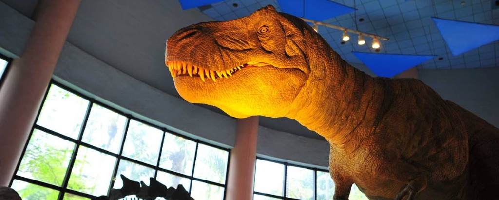 芝麻開門-演化步道