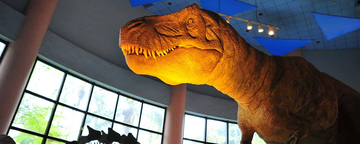 芝麻開門-演化步道