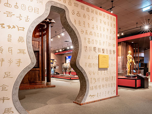 芝麻開門-中國醫藥