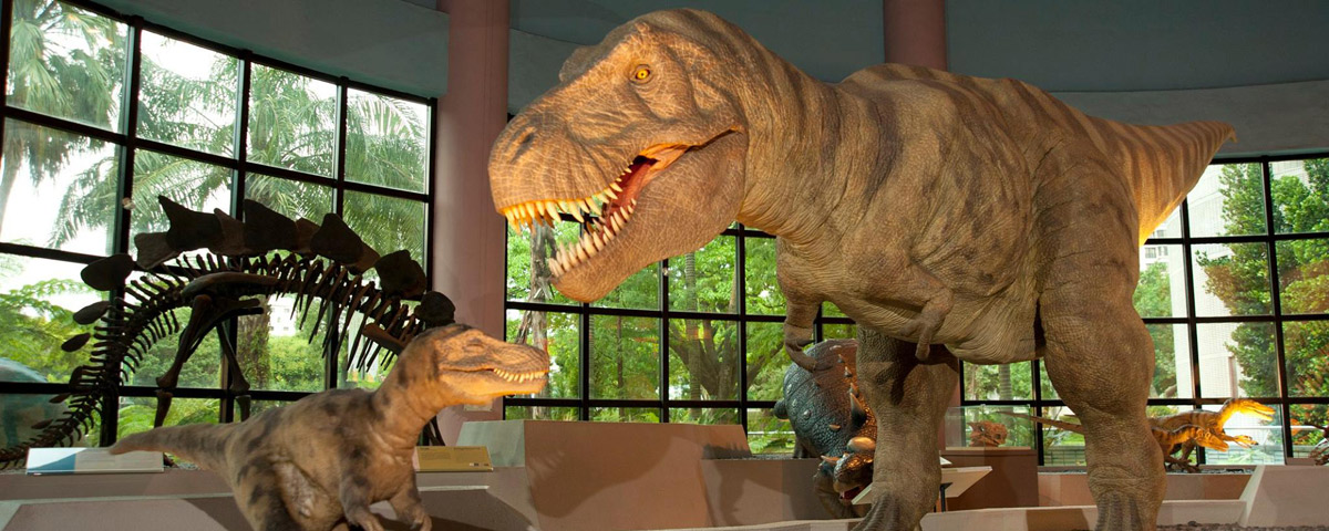 芝麻開門-恐龍時代