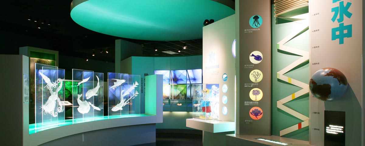 芝麻開門-生命的起源