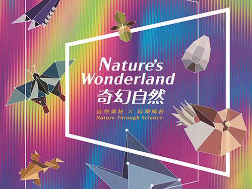 芝麻開門-奇幻自然