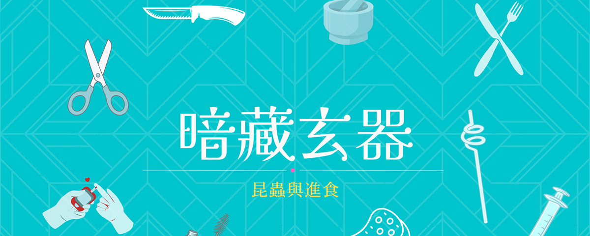暗藏玄器