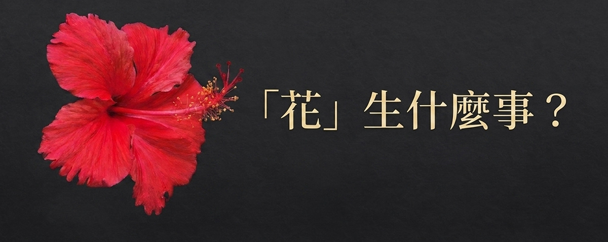 「花」生什麼事？